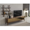 Bali Tv Unit