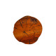 Domes Nesting Table Set - Enka Home - Enkahome - Online Furniture Store Inegol Furniture Domes Nesting Table Set - Enka Home - Enkahome - Online Furniture Store Inegol Furniture