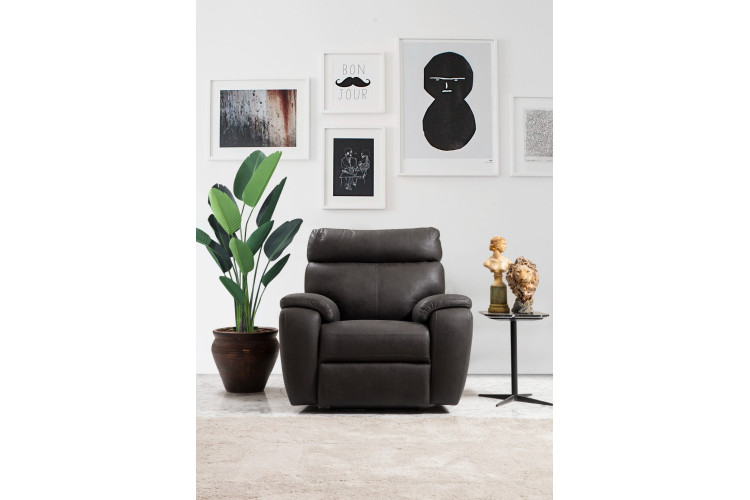 Maximo TV Armchair - Enka Home - Enkahome -  Online Furniture Store Inegol Furniture