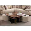 Nehir Coffee Table Set