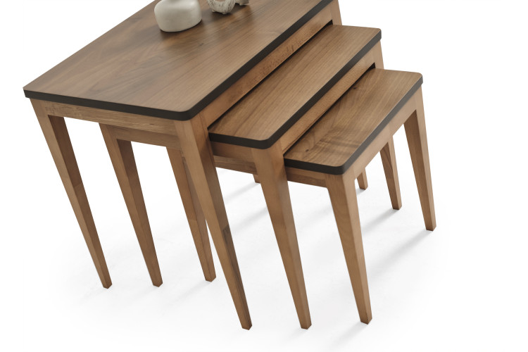Olinze Nesting Table Set - Enka Home - Enkahome -  Online Furniture Store Inegol Furniture