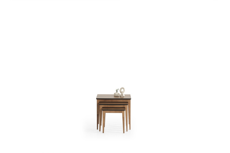 Olinze Nesting Table Set - Enka Home - Enkahome -  Online Furniture Store Inegol Furniture
