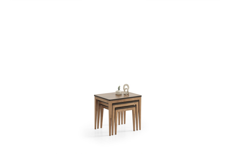 Olinze Nesting Table Set - Enka Home - Enkahome -  Online Furniture Store Inegol Furniture