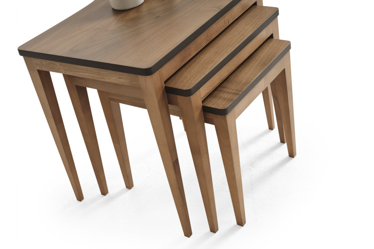 Olinze Nesting Table Set - Enka Home - Enkahome -  Online Furniture Store Inegol Furniture