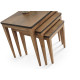 Olinze Nesting Table Set - Enka Home - Enkahome -  Online Furniture Store Inegol Furniture