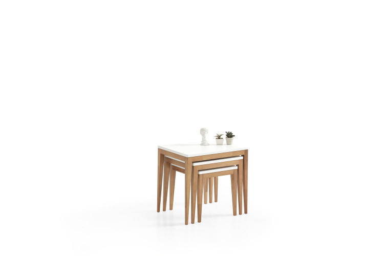 Olinze Nesting Table Set - Enka Home - Enkahome -  Online Furniture Store Inegol Furniture