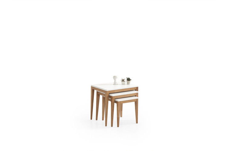 Olinze Nesting Table Set - Enka Home - Enkahome -  Online Furniture Store Inegol Furniture
