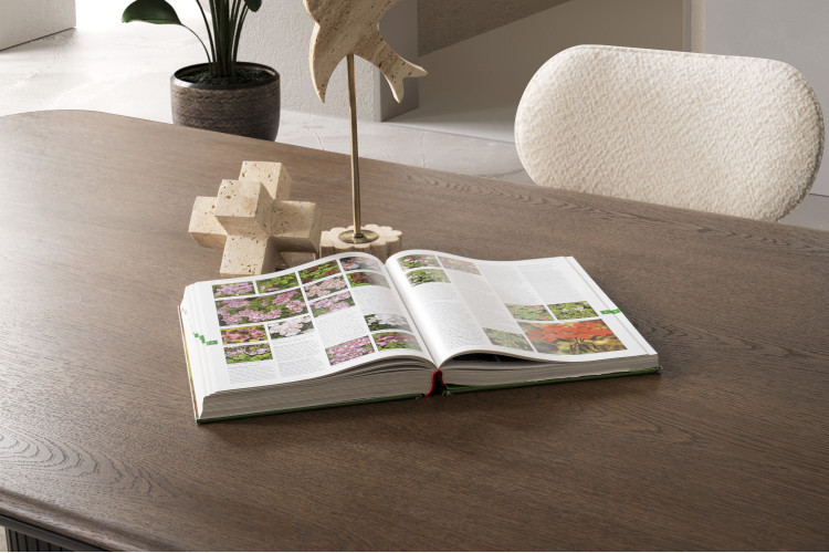 Solea Dinner Table - Enka Home - Enkahome - Online Furniture Store Inegol Furniture Solea Dinner Table - Enka Home - Enkahome - Online Furniture Store Inegol Furniture